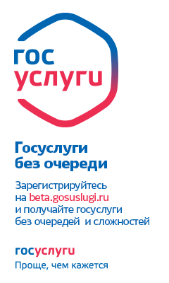 Госуслуги без очереди!